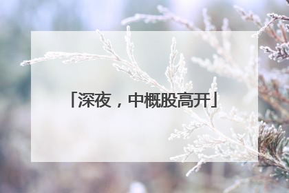 深夜，中概股高开