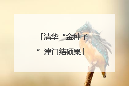清华“金种子”津门结硕果