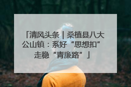 清风头条｜桑植县八大公山镇：系好“思想扣” 走稳“青廉路”