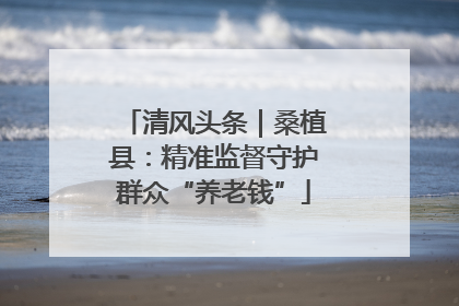 清风头条｜桑植县：精准监督守护群众“养老钱”