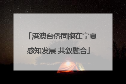 港澳台侨同胞在宁夏感知发展 共叙融合