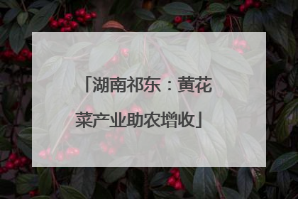 湖南祁东：黄花菜产业助农增收