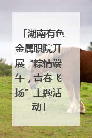 湖南有色金属职院开展“粽情端午，青春飞扬”主题活动