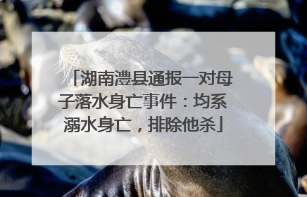 湖南澧县通报一对母子落水身亡事件：均系溺水身亡，排除他杀