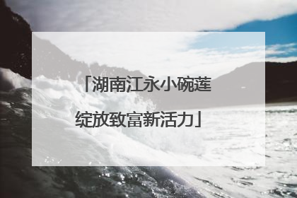湖南江永小碗莲绽放致富新活力
