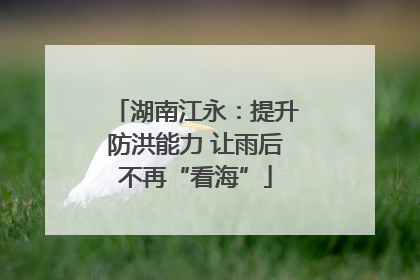湖南江永：提升防洪能力 让雨后不再“看海”
