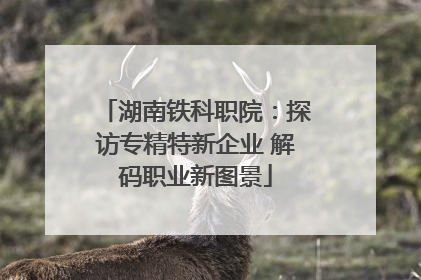 湖南铁科职院：探访专精特新企业 解码职业新图景