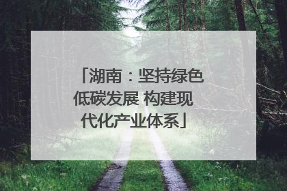 湖南：坚持绿色低碳发展 构建现代化产业体系