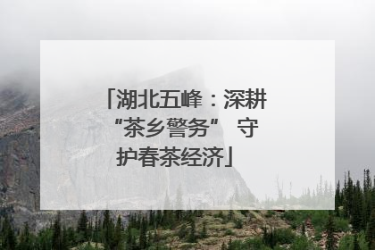 湖北五峰：深耕“茶乡警务” 守护春茶经济