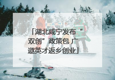 湖北咸宁发布“双创”政策包 广邀英才返乡创业