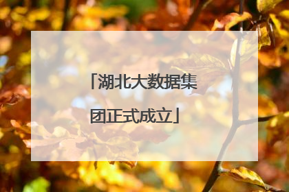 湖北大数据集团正式成立