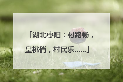 湖北枣阳：村路畅，皇桃俏，村民乐……