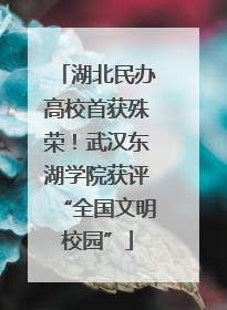 湖北民办高校首获殊荣！武汉东湖学院获评“全国文明校园”