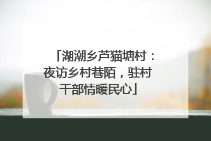 湖潮乡芦猫塘村：夜访乡村巷陌，驻村干部情暖民心