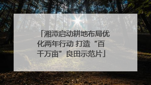 湘潭启动耕地布局优化两年行动 打造“百千万亩”良田示范片