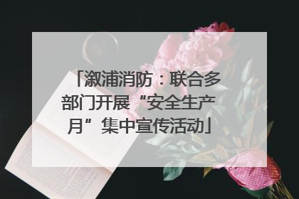 溆浦消防：联合多部门开展“安全生产月”集中宣传活动