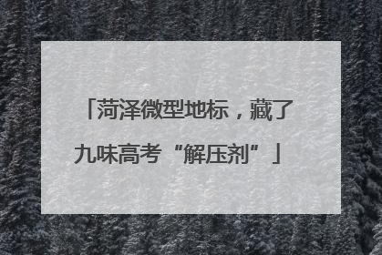 菏泽微型地标，藏了九味高考“解压剂”