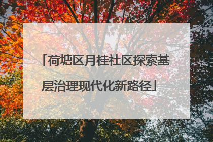 荷塘区月桂社区探索基层治理现代化新路径