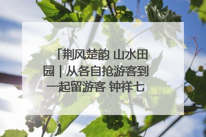荆风楚韵 山水田园｜从各自抢游客到一起留游客 钟祥七村抱团解了“乡愁”添了“乡酬”