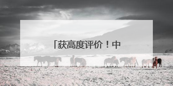 获高度评价！中国维和步兵营通过联合国装备核查