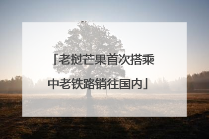 老挝芒果首次搭乘中老铁路销往国内