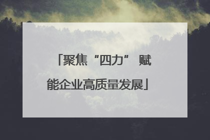 聚焦“四力” 赋能企业高质量发展
