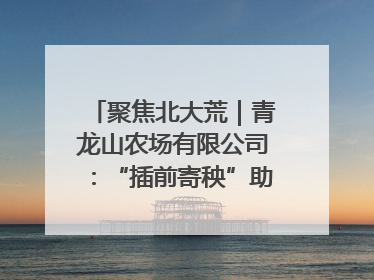 聚焦北大荒｜青龙山农场有限公司：“插前寄秧”助力农业节本增效