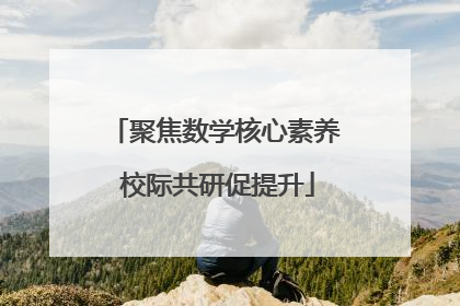 聚焦数学核心素养 校际共研促提升