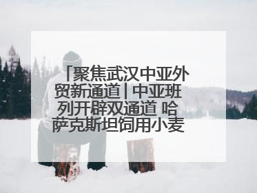 聚焦武汉中亚外贸新通道│中亚班列开辟双通道 哈萨克斯坦饲用小麦将抵鄂