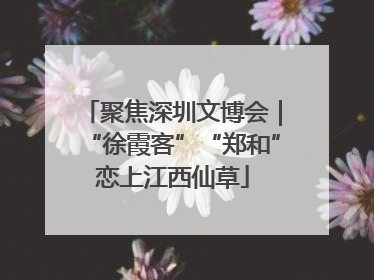 聚焦深圳文博会｜“徐霞客”“郑和”恋上江西仙草