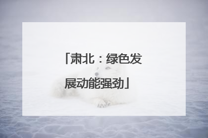 肃北：绿色发展动能强劲