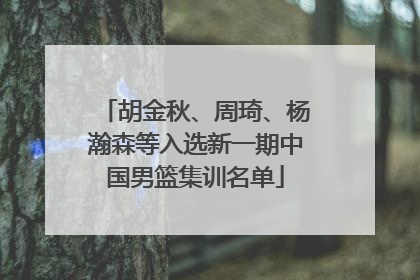 胡金秋、周琦、杨瀚森等入选新一期中国男篮集训名单