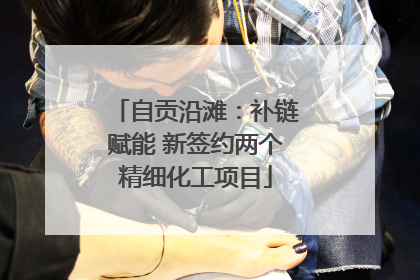 自贡沿滩：补链赋能 新签约两个精细化工项目