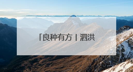 良种有方丨泗洪大地“种”出美妙，铺就农业发展金光大“稻”！