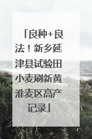 良种+良法！新乡延津县试验田小麦刷新黄淮麦区高产记录