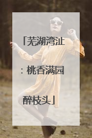 芜湖湾沚：桃香满园醉枝头