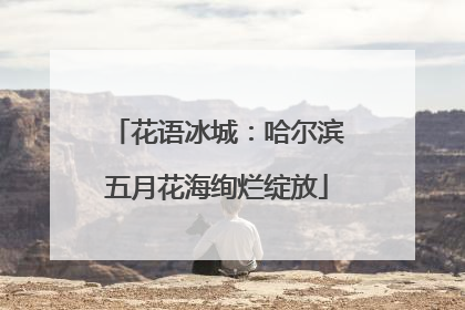 花语冰城：哈尔滨五月花海绚烂绽放