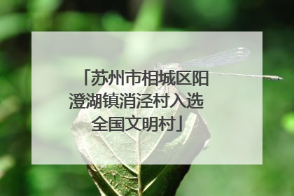 苏州市相城区阳澄湖镇消泾村入选全国文明村