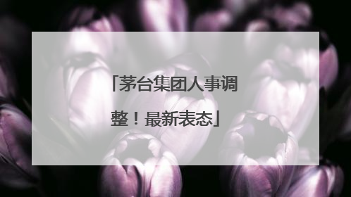 茅台集团人事调整！最新表态