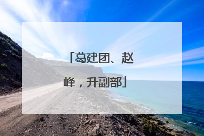 葛建团、赵峰，升副部