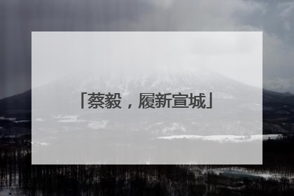蔡毅，履新宣城