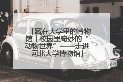 藏在大学里的博物馆丨校园里奇妙的“动物世界”——走进河北大学博物馆