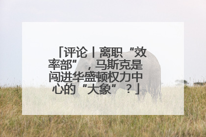 评论丨离职“效率部”，马斯克是闯进华盛顿权力中心的“大象”？