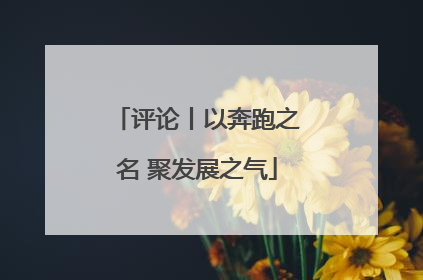 评论丨以奔跑之名 聚发展之气