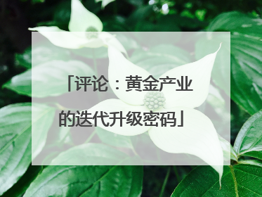 评论：黄金产业的迭代升级密码