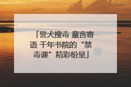 警犬搜毒 童言寄语 千年书院的“禁毒课”精彩纷呈