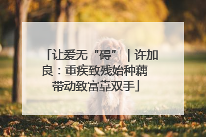 让爱无“碍”｜许加良：重疾致残始种藕 带动致富靠双手