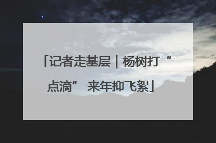 记者走基层｜杨树打“点滴” 来年抑飞絮