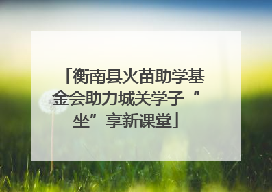 衡南县火苗助学基金会助力城关学子“坐”享新课堂