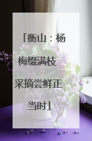 衡山：杨梅缀满枝 采摘尝鲜正当时